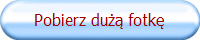 Pobierz dużą fotkę